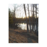 25 March 2010 Postcard