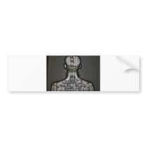 25 - The Silken Skin Bumper Stickers