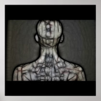 25 - The Silken Skin Poster