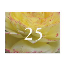 25th Birthday Postcard
