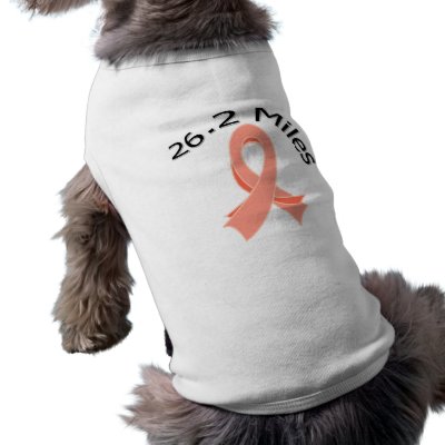 26.2 Miles Marathon Uterine Cancer Ribbon by giftsforawareness