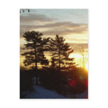 26 January 2010 Postcard