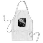 26b  Shaggy Dog Comic 4B Aprons