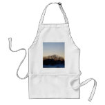 27 January 2010 aprons
