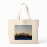 27 January 2010 bags