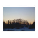 27 January 2010 postcards