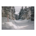 27. Snowy Olympic Road, Tahoe City cards