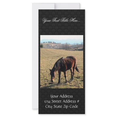 27 Year Old Ancient Brown Horse In Open Green Mead Rack Cards by animalpark