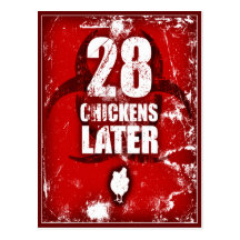 28 CHICKENS LATER POST CARDS