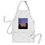 28 February 2010 Aprons