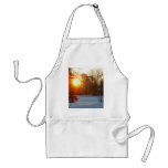 28 January 2010 aprons