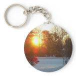 28 January 2010 keychains