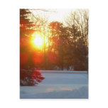 28 January 2010 Post Cards