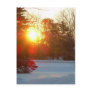 28 January 2010 Post Cards