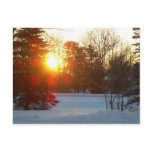 28 January 2010 Post Cards