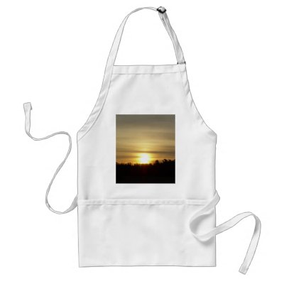 29 March 2010 Aprons by NiftyMorning