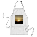 29 March 2010 aprons