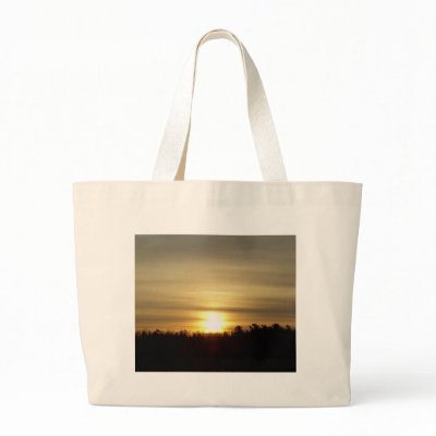 29 March 2010 Bags by NiftyMorning