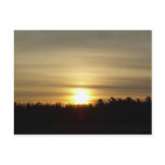 29 March 2010 Post Card