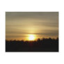 29 March 2010 Post Card