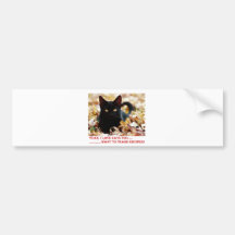 2-8-11- cat- recipe bumper stickers