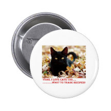 2-8-11- cat- recipe pins