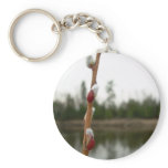 2 April 2010 Key Chains