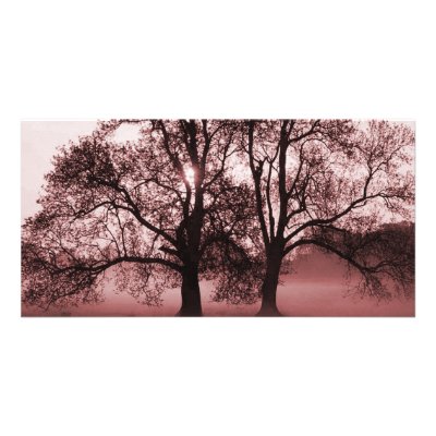 2 Big Trees Red by VoXeeD
