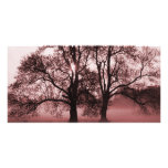 2 Big Trees Red photo cards