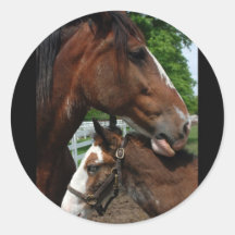 2 clydesdale heads black sticker