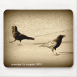 2 Crows out for a Stroll Mouse Pad