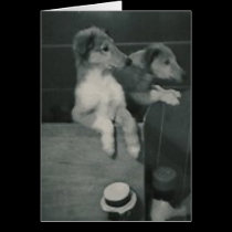 2 dogs box card cards