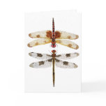2 Dragonflies looking at each other Greeting Card