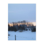 2 February 2010 Post Card