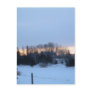 2 February 2010 Post Card