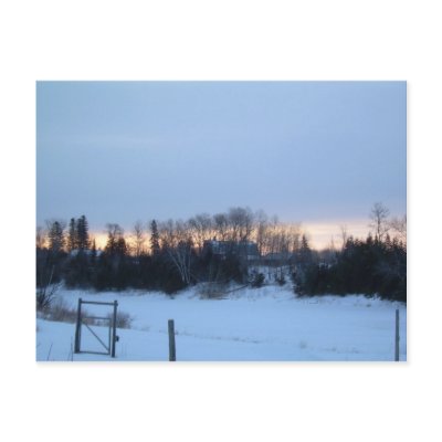 2 February 2010 Postcard by NiftyMorning