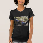 2 Free Range Silver Grey Dorking Hens Shirt