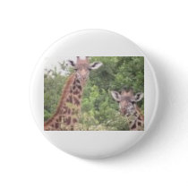 2 giraffes pinback buttons