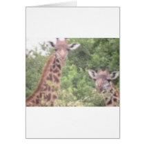 2 giraffes greeting card