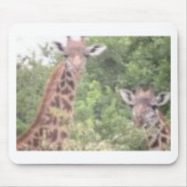 2 giraffes mousepad
