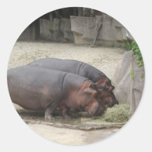 2 hippopotamus stickers