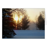 2 January 2010 Cards
