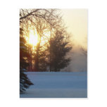2 January 2010 Post Card