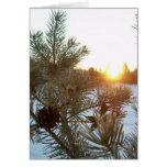 2 March 2010 Card