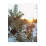 2 March 2010 Post Card