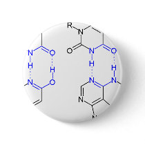 2-Pyridone Chemical Basepair Pinback Buttons