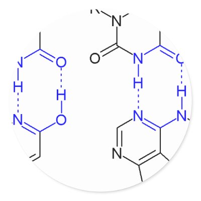 2-Pyridone Chemical Basepair Stickers by TheCommitteeTo