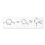 2-Pyridone Chemical Synthesis 1 Bumper Stickers