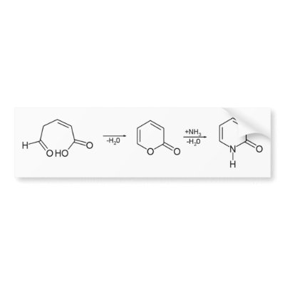 2-Pyridone Chemical Synthesis 1 Bumper Stickers by TheCommitteeTo