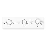 2-Pyridone Chemical Synthesis 1 bumper stickers